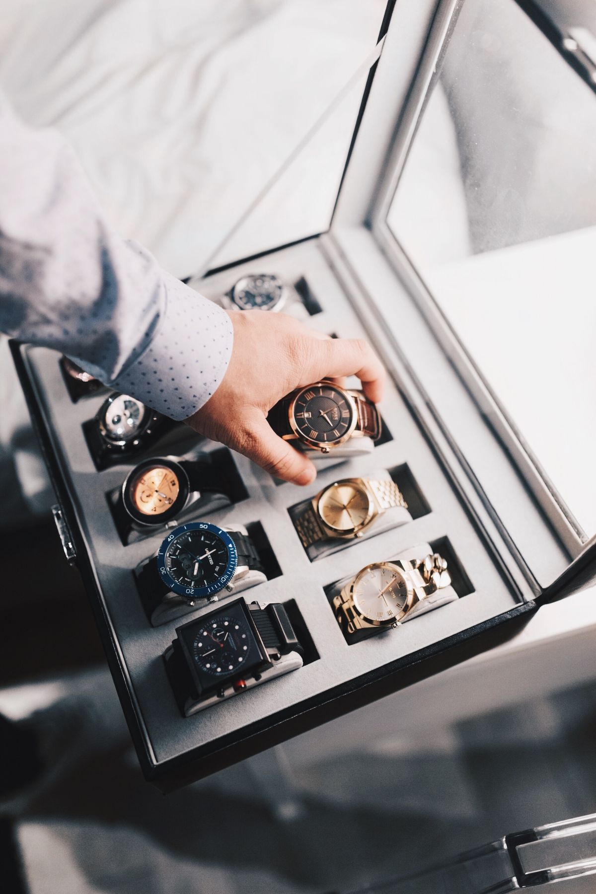 Luxury watch collection